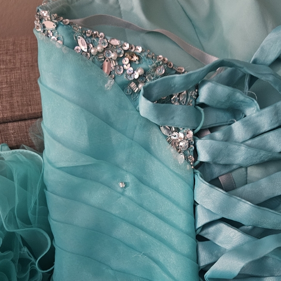 Quiencenera Dress, Prom or Ball Dress - Picture 12 of 14